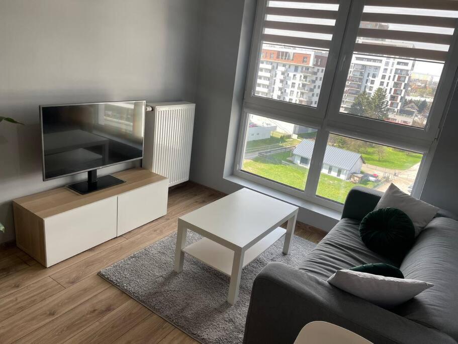 Vip Apartamenty Witolda Rzeszow Exterior photo